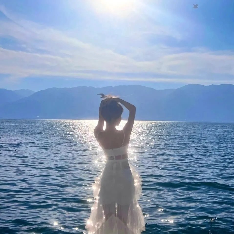 大寻宝家 海报