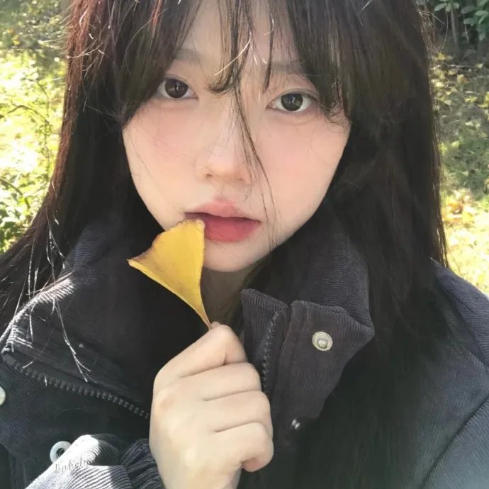 大运河粤语 海报